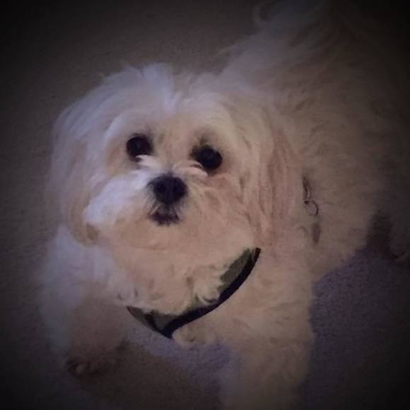 Meet your Posher, Kathy - Picture 1 of 1